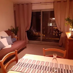  Appartement Front De Neige Wifi Résidence Le Tyrol 4 Personnes France